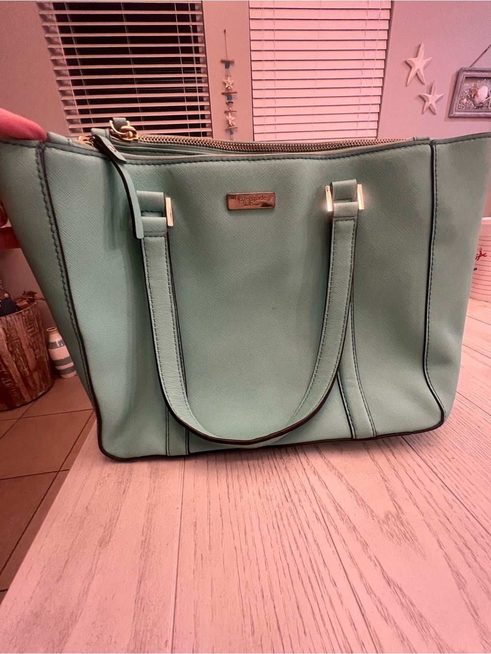 Kate Spade Mint Green Tote Handbag with Colored Striped Interior